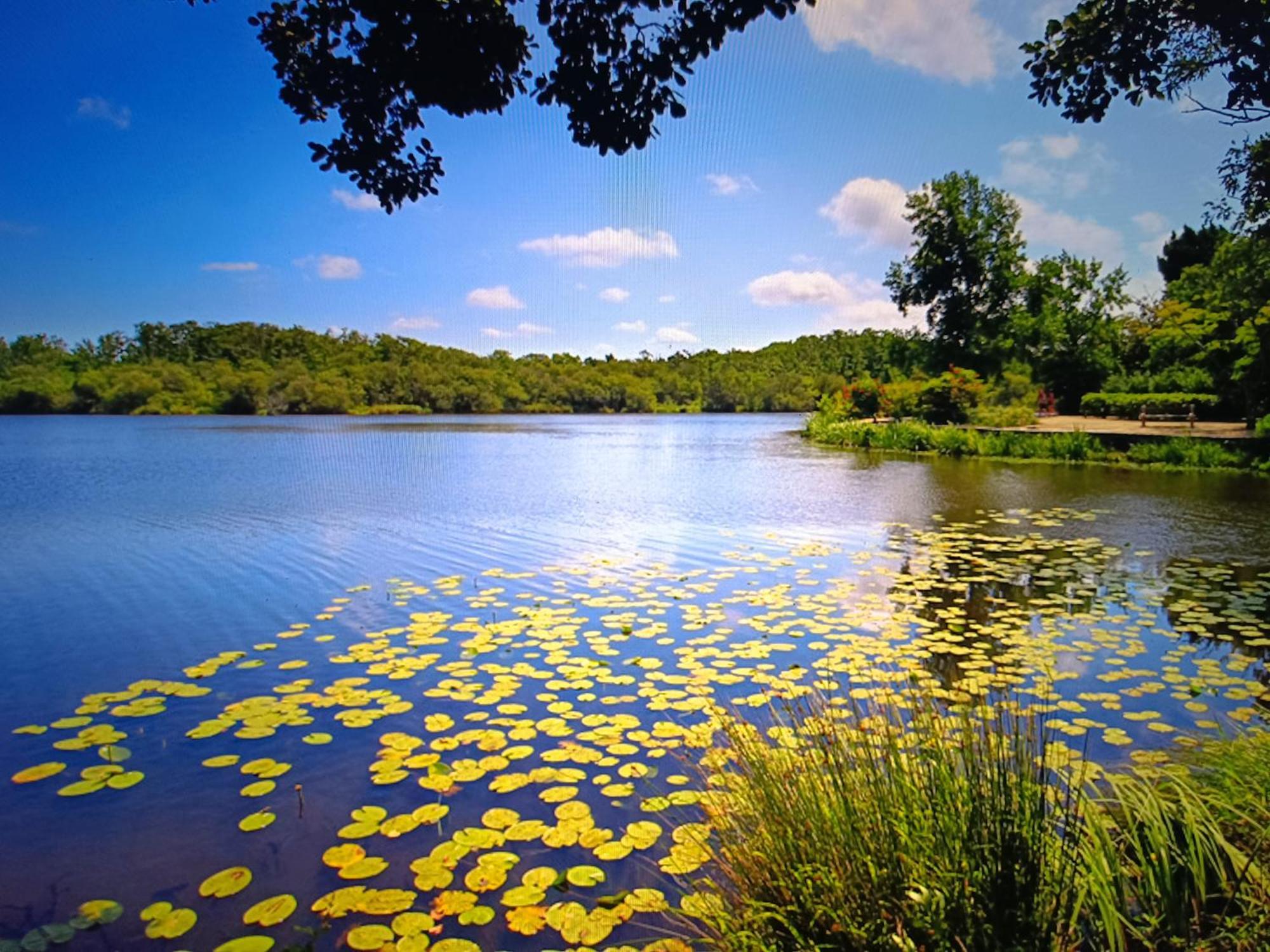 Vacances Dans Les Landes Aureilhan  Bagian luar foto